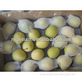 /msite/products/detail/productid/54855558/id/542998.html